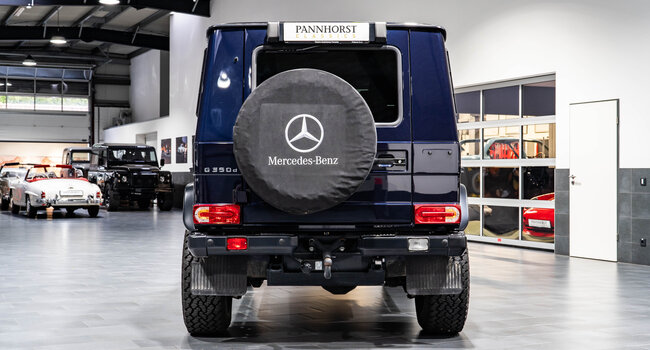 Mercedes-Benz G350 Professional