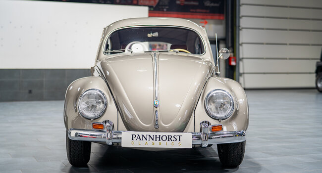 Volkswagen Käfer 1200 Export - Mille Miglia Teilnehmer