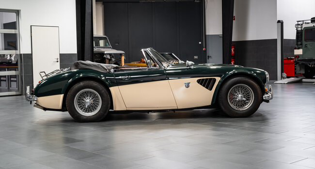 Austin Healey 3000 MK3 Stefan Sautter Umbau