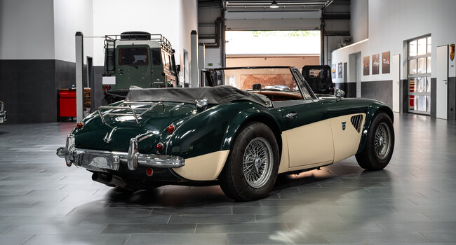 Austin Healey 3000 MK3 Stefan Sautter Umbau